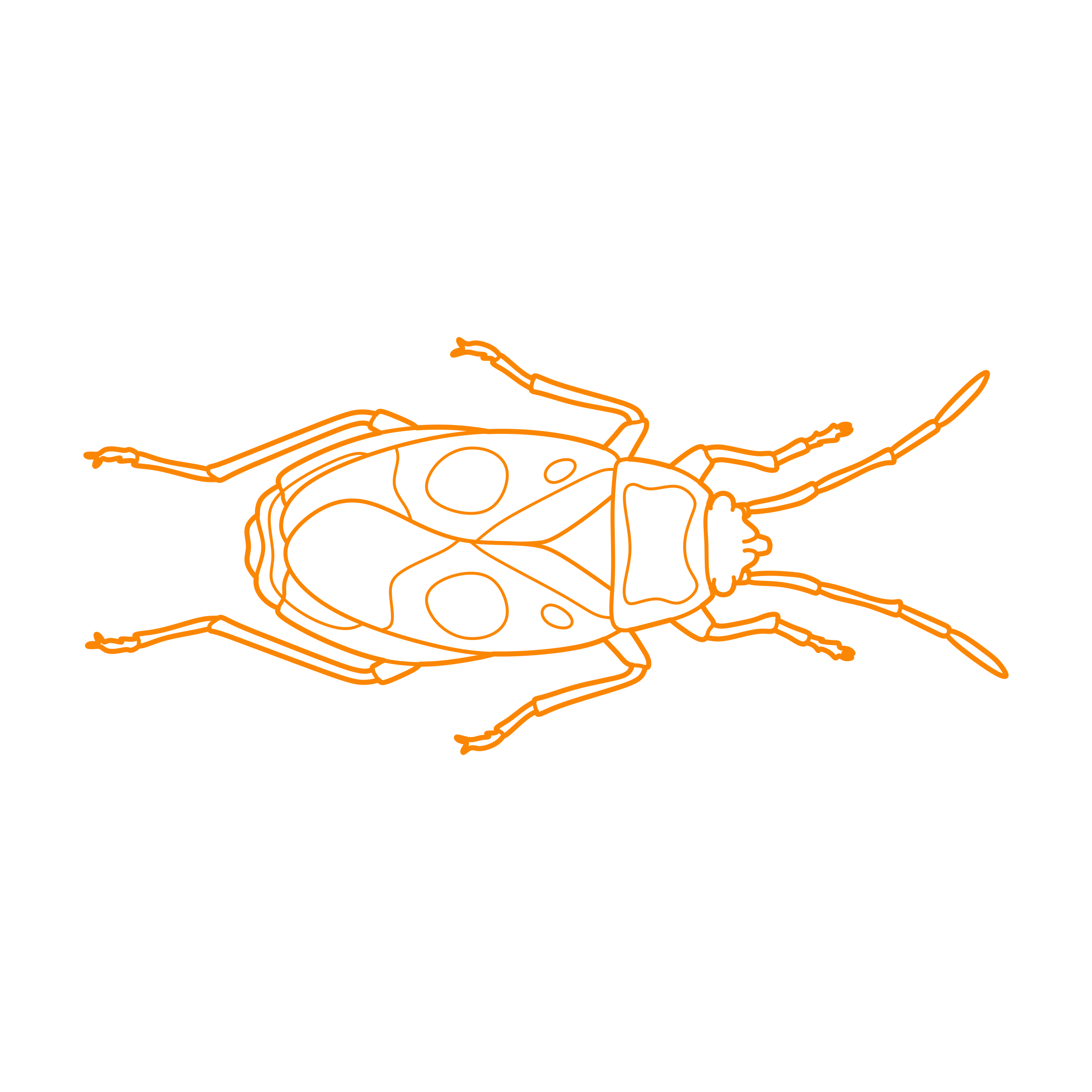 Animals Insects Firebug Vinyl Svg File Free Vectors